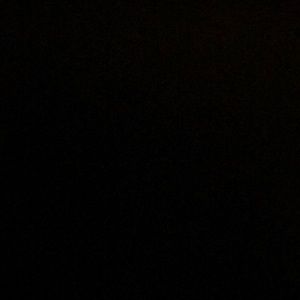 Meet your Posher, Dillon